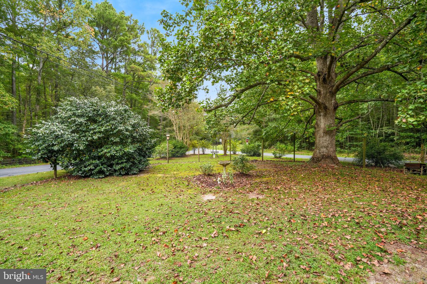 12564 HACKS NECK RD, HACKSNECK, Virginia 23358, 3 Bedrooms Bedrooms, ,2 BathroomsBathrooms,Residential,For sale,12564 HACKS NECK RD,VAAC2002270 MLS # VAAC2002270