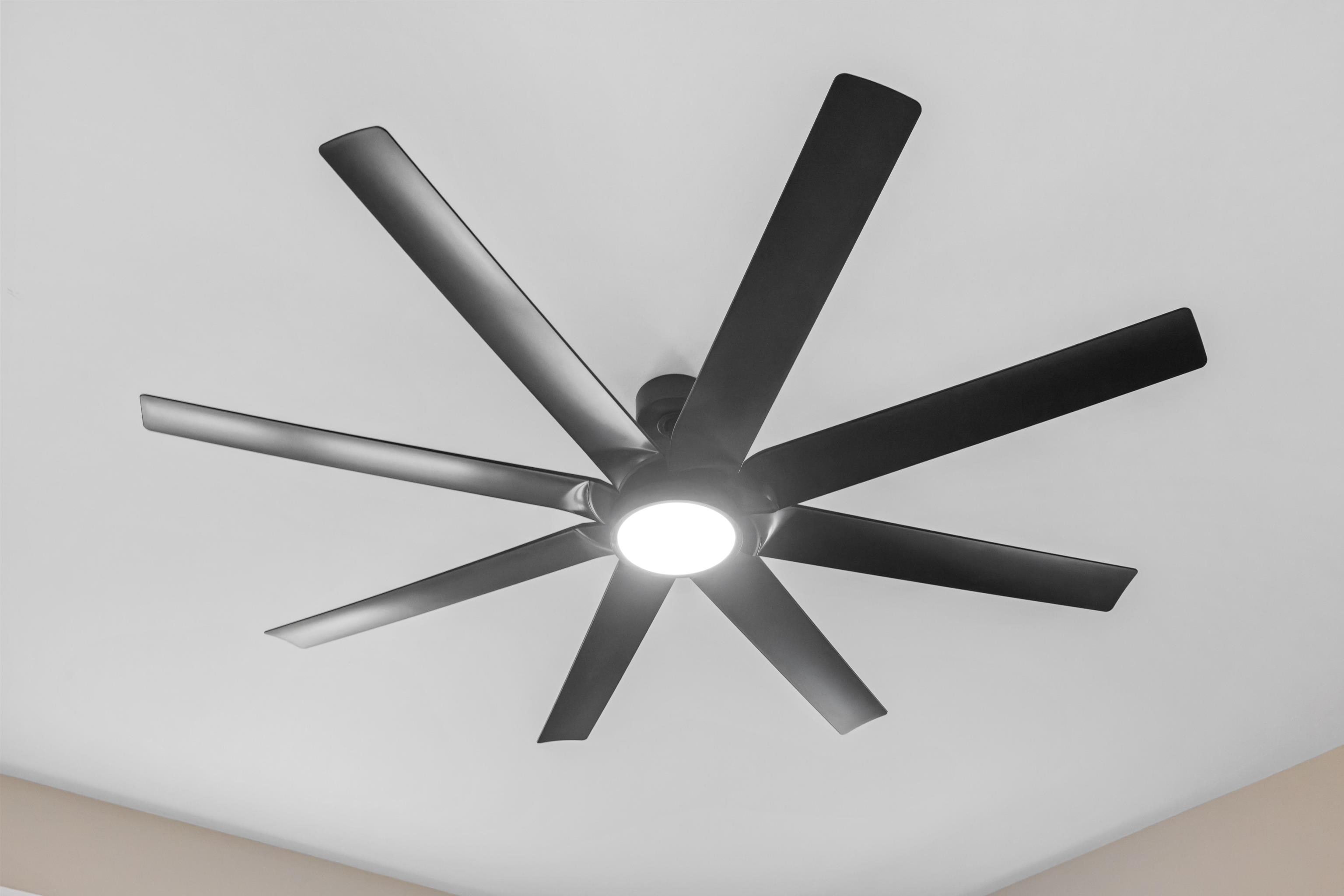 1800 STUARTS DRAFT HWY, STUARTS DRAFT, Virginia 24477, 4 Bedrooms Bedrooms, ,3 BathroomsBathrooms,Residential,1800 STUARTS DRAFT HWY,671228 MLS # 671228