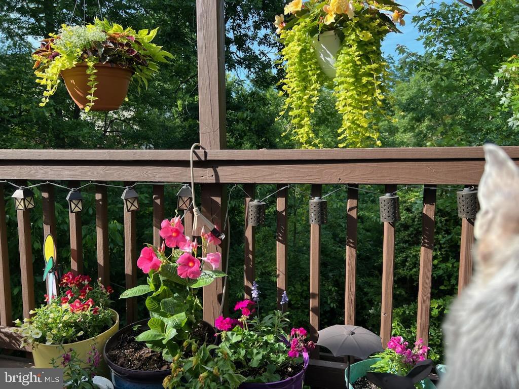 13082 PARK CRESCENT CIR, HERNDON, Virginia 20171, 3 Bedrooms Bedrooms, ,2 BathroomsBathrooms,Residential,For sale,13082 PARK CRESCENT CIR,VAFX2281656 MLS # VAFX2281656