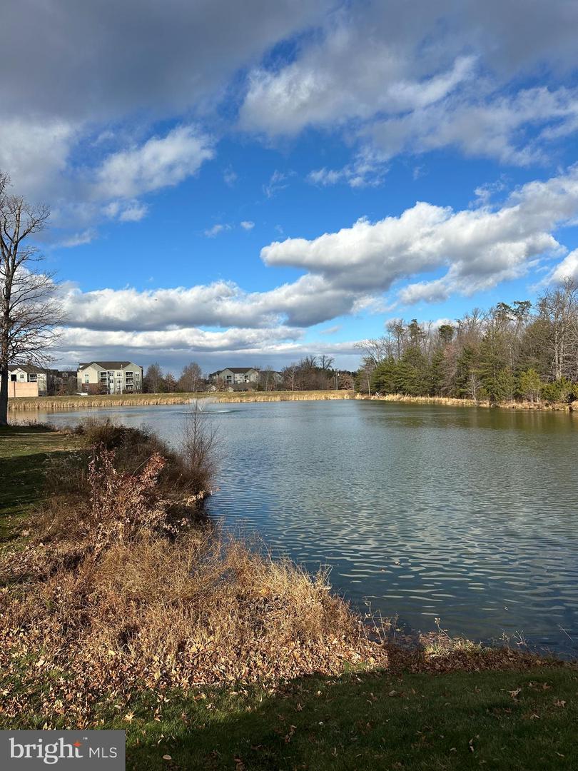 1708 LAKE SHORE CREST DR, RESTON, Virginia 20190, 1 Bedroom Bedrooms, ,1 BathroomBathrooms,Residential,For sale,1708 LAKE SHORE CREST DR,VAFX2282040 MLS # VAFX2282040 1708 LAKE SHORE CREST DR, RESTON, Virginia 20190, 1 Bedroom Bedrooms, ,1 BathroomBathrooms,Residential,For sale,1708 LAKE SHORE CREST DR,VAFX2282040 MLS # VAFX2282040