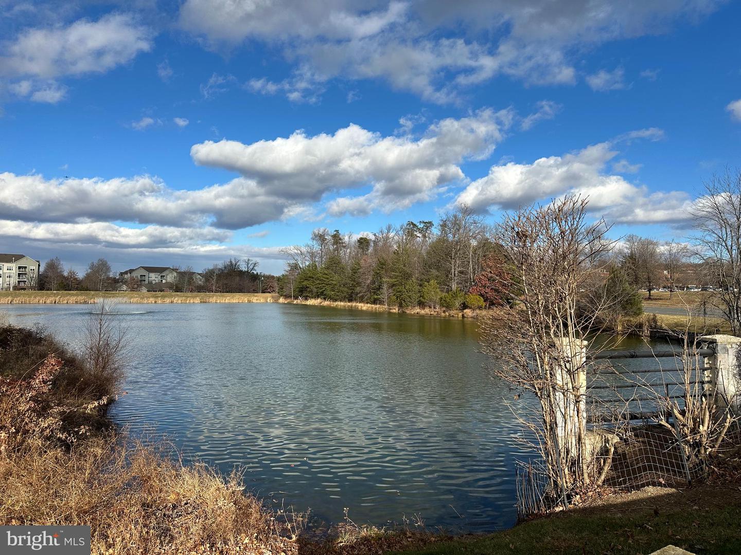 1708 LAKE SHORE CREST DR, RESTON, Virginia 20190, 1 Bedroom Bedrooms, ,1 BathroomBathrooms,Residential,For sale,1708 LAKE SHORE CREST DR,VAFX2282040 MLS # VAFX2282040 1708 LAKE SHORE CREST DR, RESTON, Virginia 20190, 1 Bedroom Bedrooms, ,1 BathroomBathrooms,Residential,For sale,1708 LAKE SHORE CREST DR,VAFX2282040 MLS # VAFX2282040