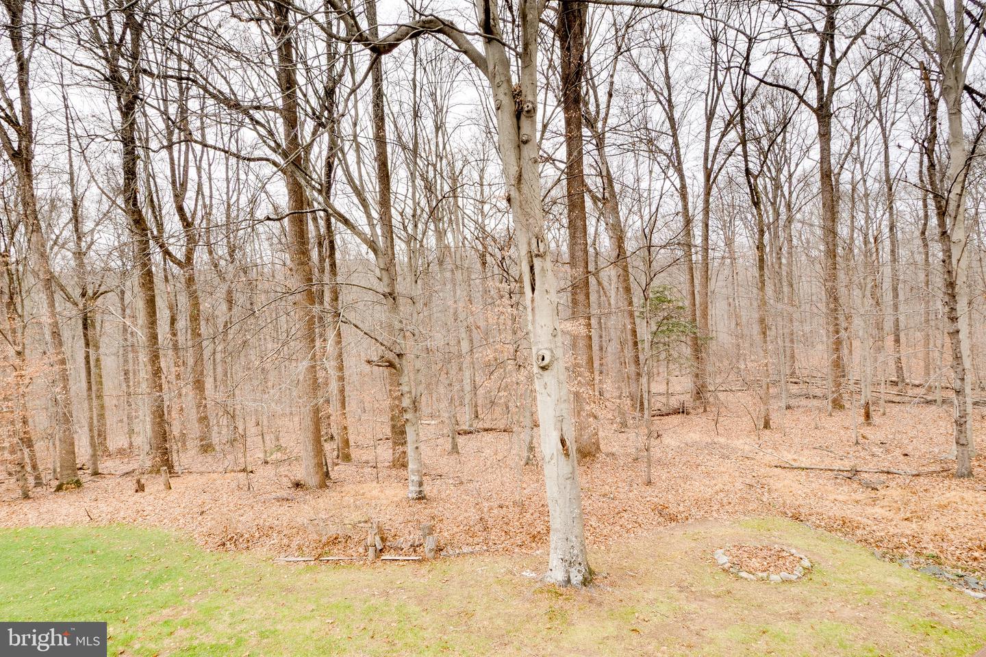 11844 CLARA WAY, FAIRFAX STATION, Virginia 22039, 4 Bedrooms Bedrooms, 14 Rooms Rooms,3 BathroomsBathrooms,Residential,For sale,11844 CLARA WAY,VAFX2282124 MLS # VAFX2282124