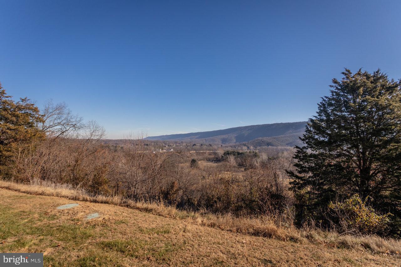 79 GUNN LN, WOODSTOCK, Virginia 22664, 4 Bedrooms Bedrooms, 6 Rooms Rooms,2 BathroomsBathrooms,Residential,For sale,79 GUNN LN,VASH2013220 MLS # VASH2013220 79 GUNN LN, WOODSTOCK, Virginia 22664, 4 Bedrooms Bedrooms, 6 Rooms Rooms,2 BathroomsBathrooms,Residential,For sale,79 GUNN LN,VASH2013220 MLS # VASH2013220