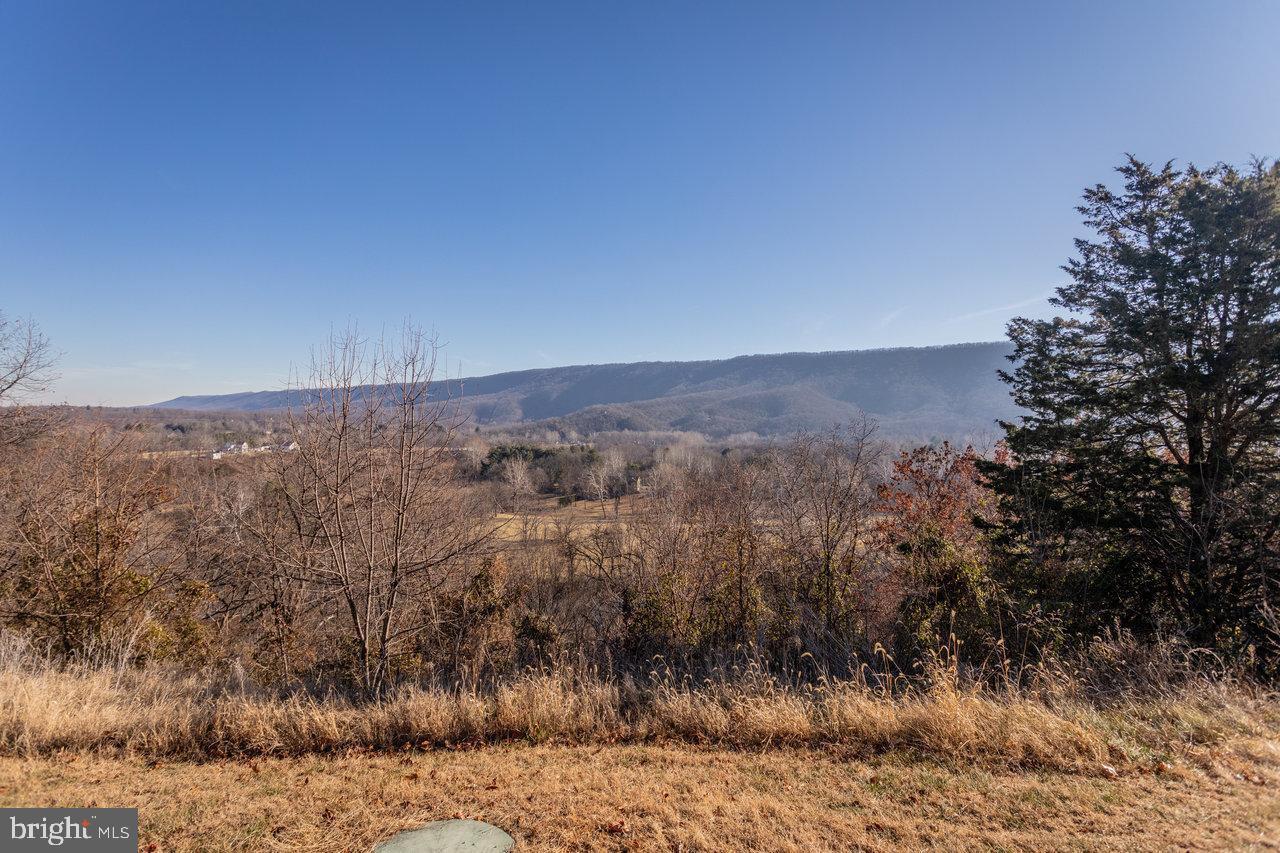 79 GUNN LN, WOODSTOCK, Virginia 22664, 4 Bedrooms Bedrooms, 6 Rooms Rooms,2 BathroomsBathrooms,Residential,For sale,79 GUNN LN,VASH2013220 MLS # VASH2013220 79 GUNN LN, WOODSTOCK, Virginia 22664, 4 Bedrooms Bedrooms, 6 Rooms Rooms,2 BathroomsBathrooms,Residential,For sale,79 GUNN LN,VASH2013220 MLS # VASH2013220