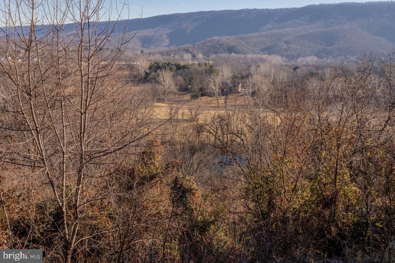 79 GUNN LN, WOODSTOCK, Virginia 22664, 4 Bedrooms Bedrooms, 6 Rooms Rooms,2 BathroomsBathrooms,Residential,For sale,79 GUNN LN,VASH2013220 MLS # VASH2013220 79 GUNN LN, WOODSTOCK, Virginia 22664, 4 Bedrooms Bedrooms, 6 Rooms Rooms,2 BathroomsBathrooms,Residential,For sale,79 GUNN LN,VASH2013220 MLS # VASH2013220