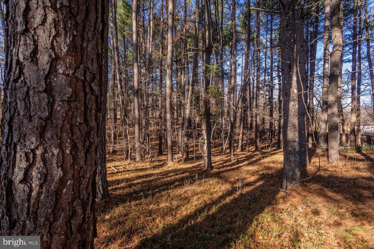 79 GUNN LN, WOODSTOCK, Virginia 22664, 4 Bedrooms Bedrooms, 6 Rooms Rooms,2 BathroomsBathrooms,Residential,For sale,79 GUNN LN,VASH2013220 MLS # VASH2013220 79 GUNN LN, WOODSTOCK, Virginia 22664, 4 Bedrooms Bedrooms, 6 Rooms Rooms,2 BathroomsBathrooms,Residential,For sale,79 GUNN LN,VASH2013220 MLS # VASH2013220