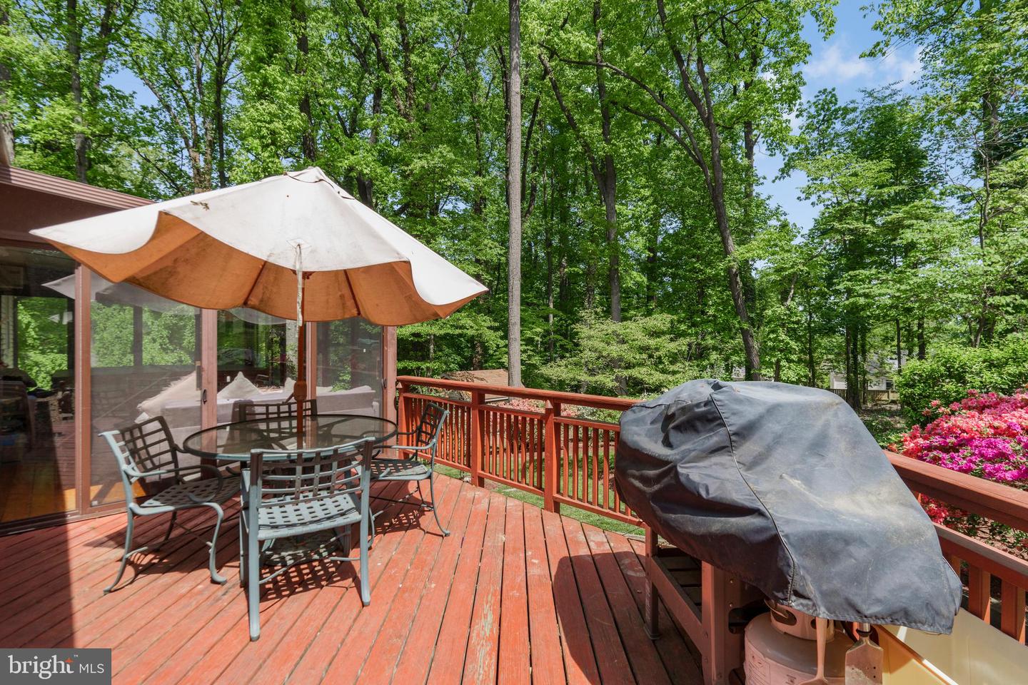 2919 ROSEMARY LN, FALLS CHURCH, Virginia 22042, 3 Bedrooms Bedrooms, ,2 BathroomsBathrooms,Residential,For sale,2919 ROSEMARY LN,VAFX2282808 MLS # VAFX2282808