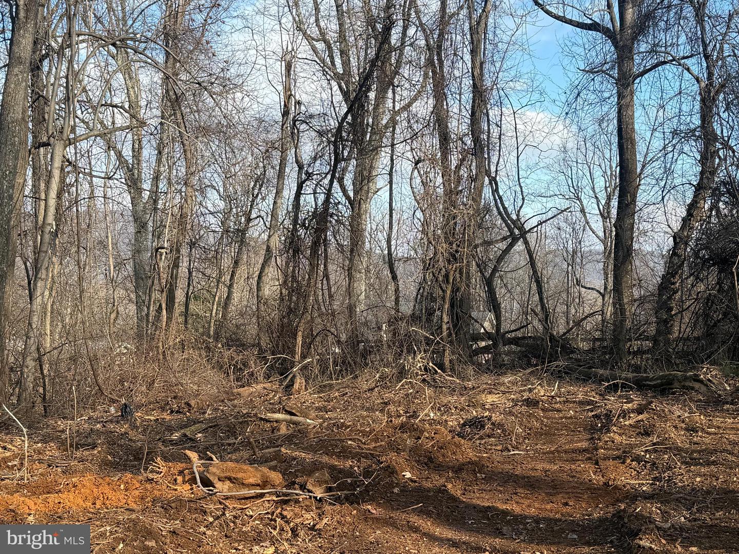 LOT 19 HIGHRIDGE RD, FRONT ROYAL, Virginia 22630, 3 Bedrooms Bedrooms, ,2 BathroomsBathrooms,Residential,For sale,LOT 19 HIGHRIDGE RD,VAWR2012976 MLS # VAWR2012976