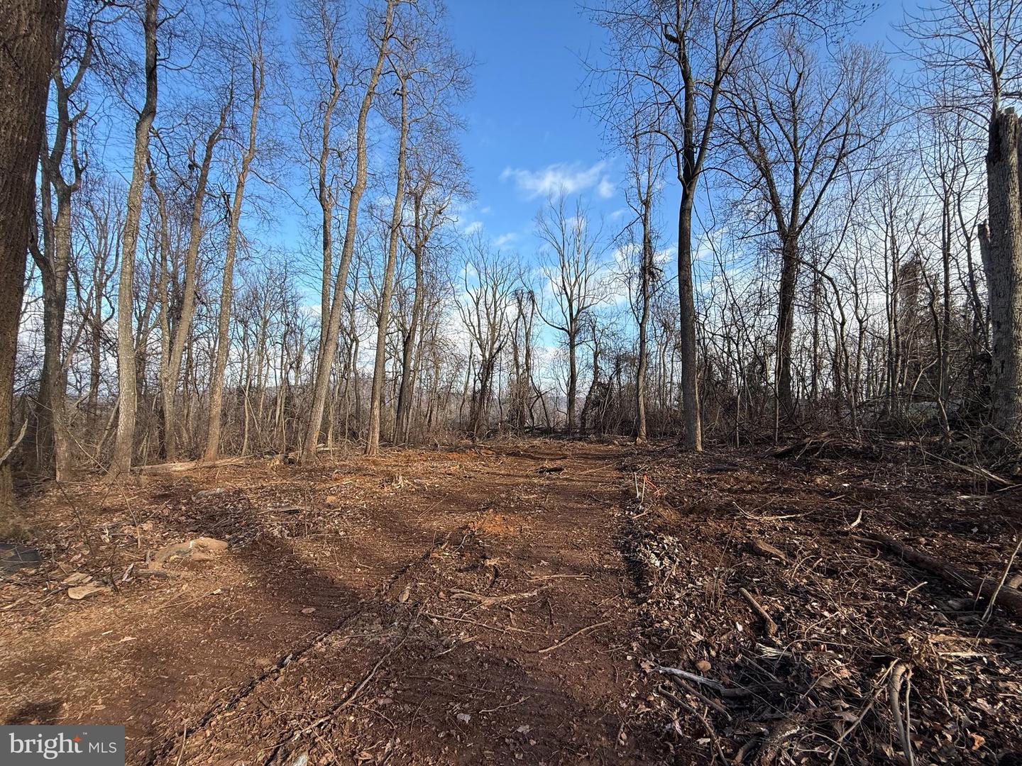 LOT 19 HIGHRIDGE RD, FRONT ROYAL, Virginia 22630, 3 Bedrooms Bedrooms, ,2 BathroomsBathrooms,Residential,For sale,LOT 19 HIGHRIDGE RD,VAWR2012976 MLS # VAWR2012976