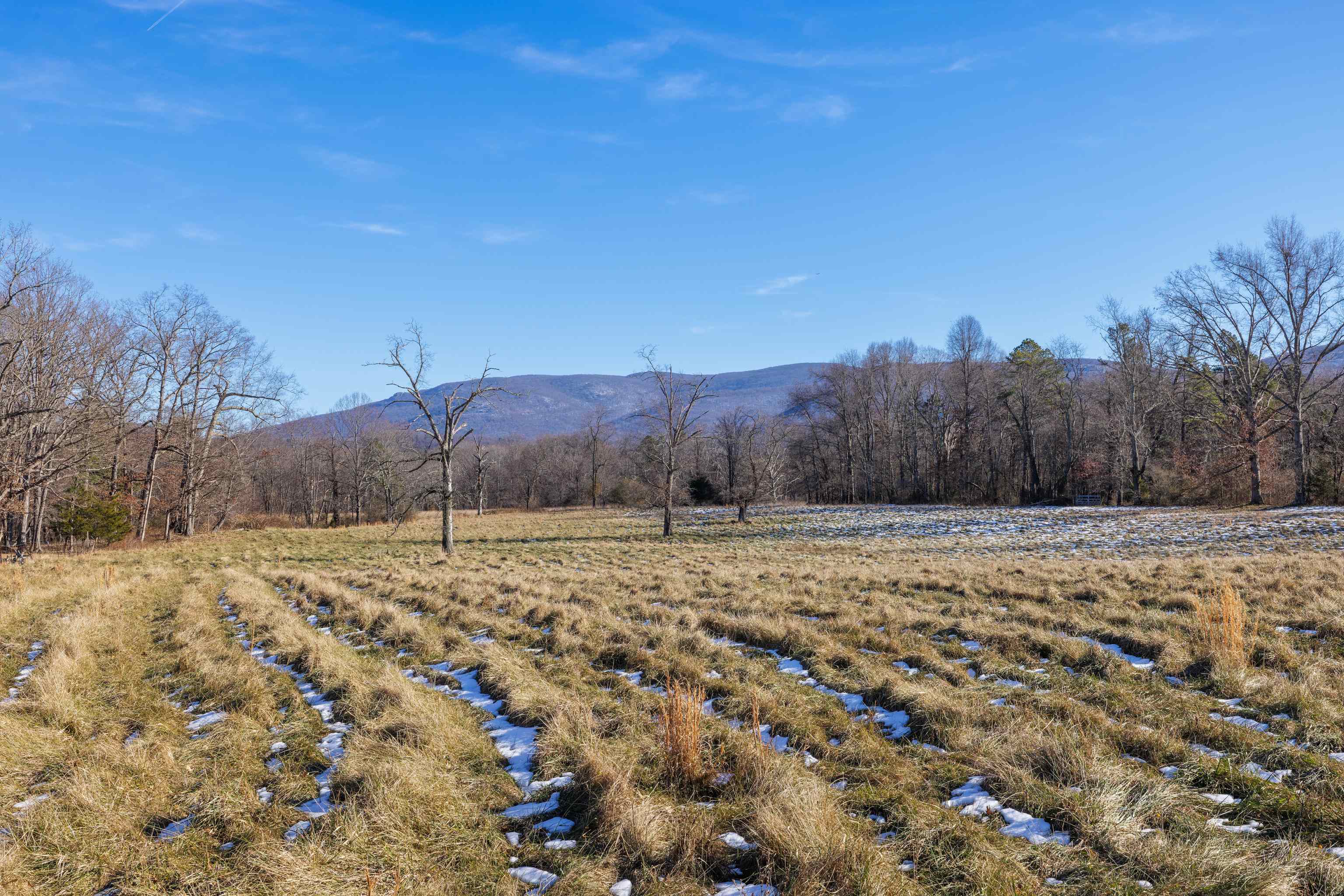 TBD MILL CREEK LN, STUARTS DRAFT, Virginia 24477, ,Land,TBD MILL CREEK LN,671941 MLS # 671941