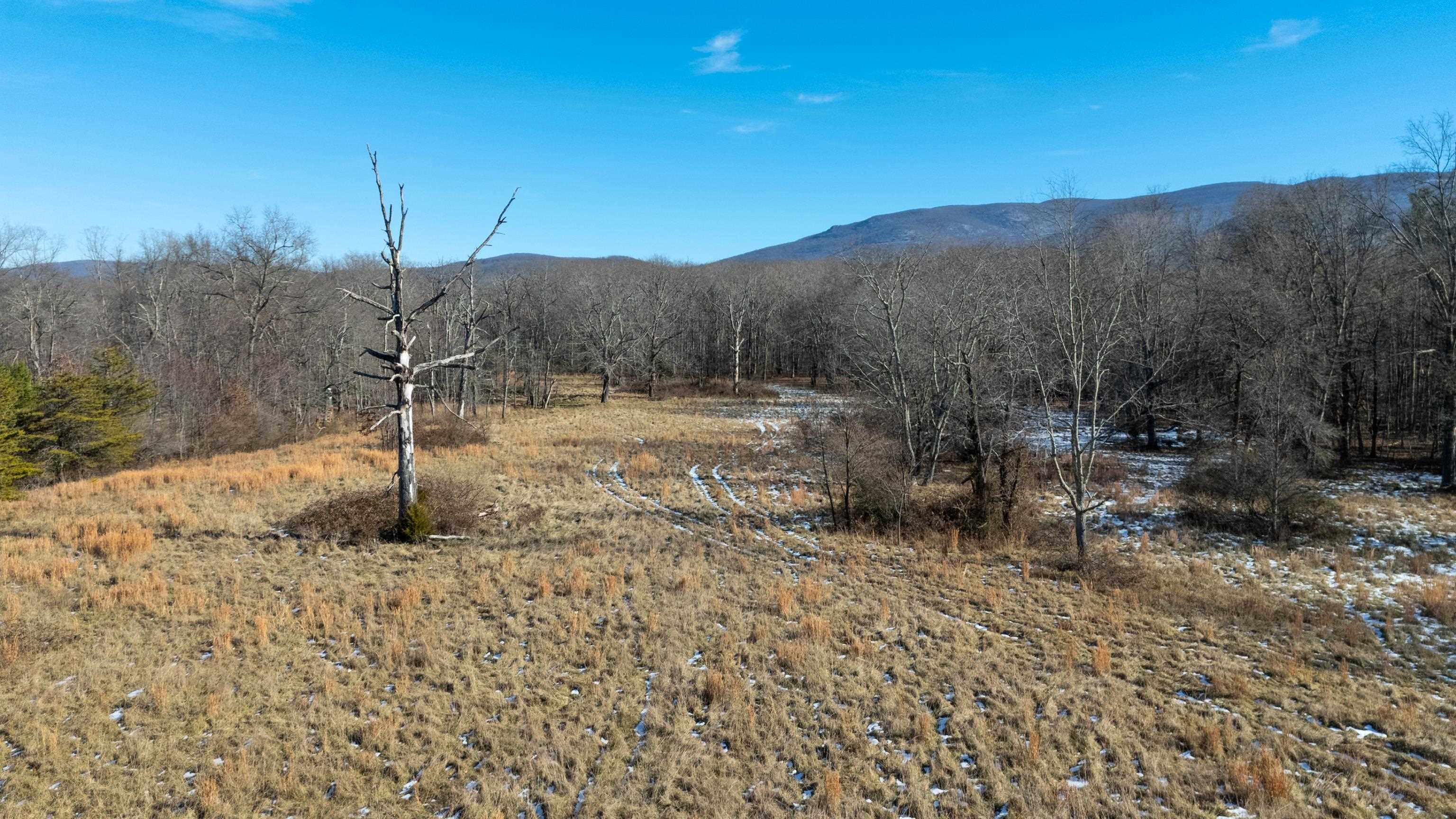 TBD MILL CREEK LN, STUARTS DRAFT, Virginia 24477, ,Land,TBD MILL CREEK LN,671941 MLS # 671941