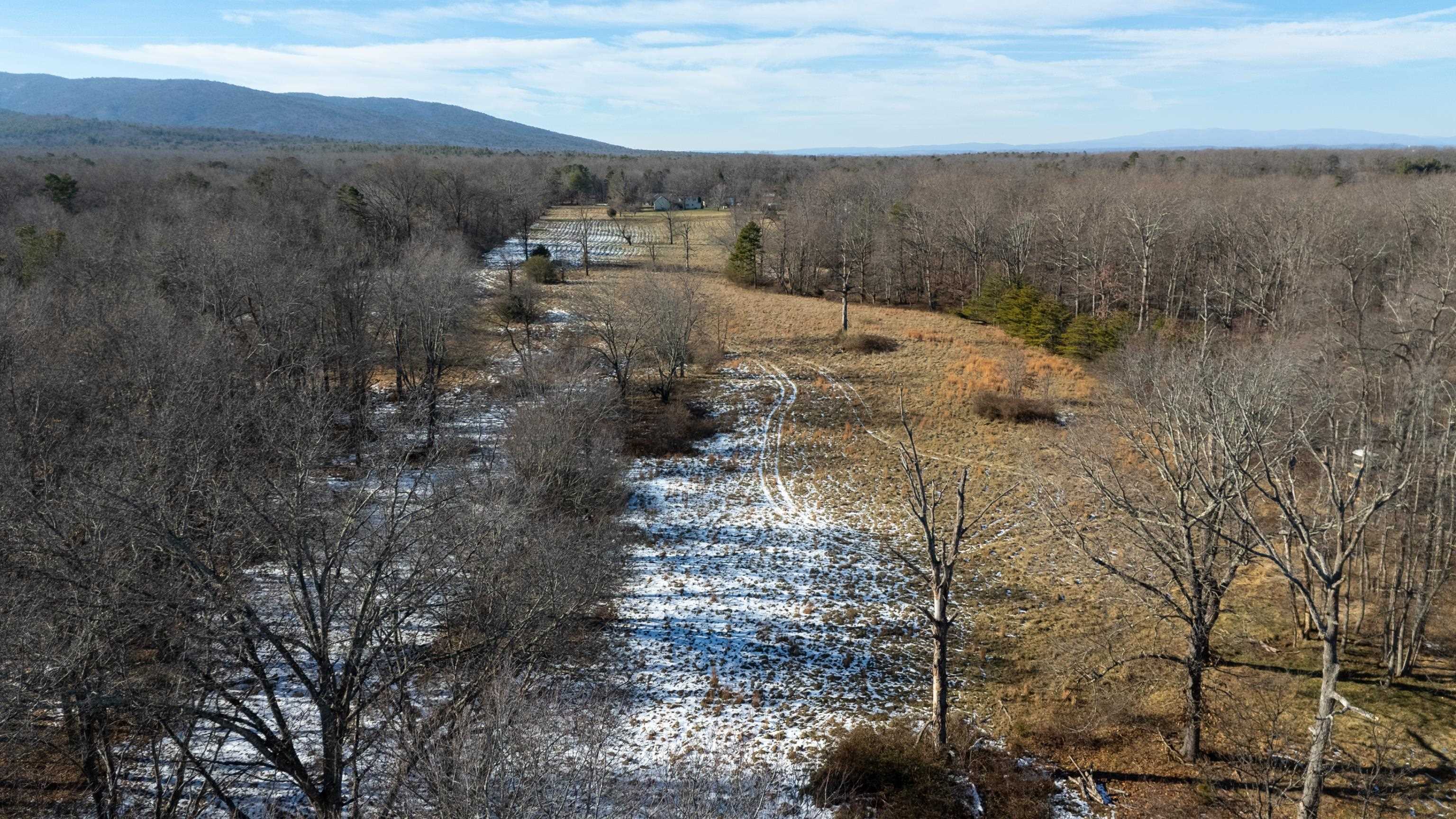 TBD MILL CREEK LN, STUARTS DRAFT, Virginia 24477, ,Land,TBD MILL CREEK LN,671941 MLS # 671941