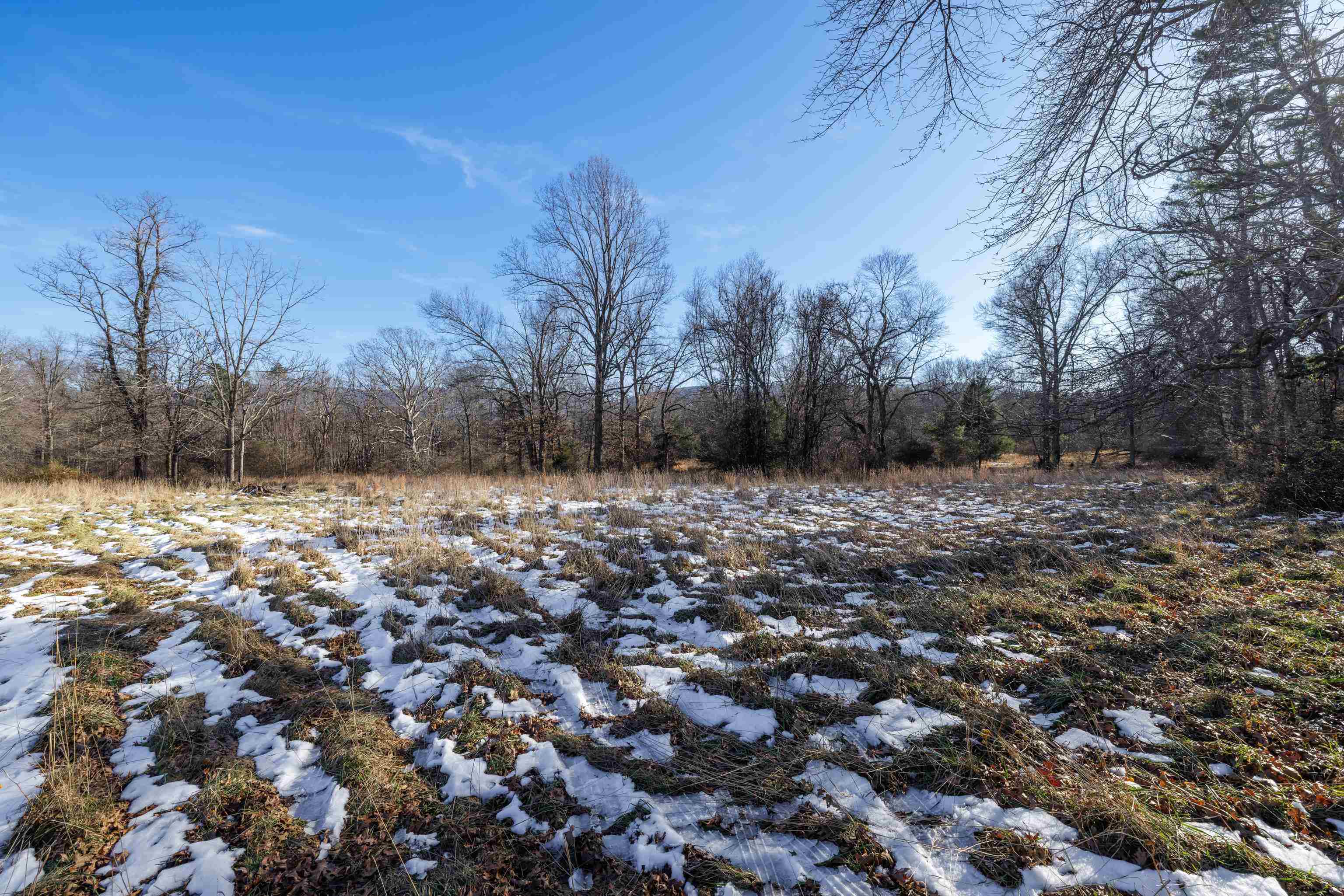 TBD MILL CREEK LN, STUARTS DRAFT, Virginia 24477, ,Land,TBD MILL CREEK LN,671941 MLS # 671941