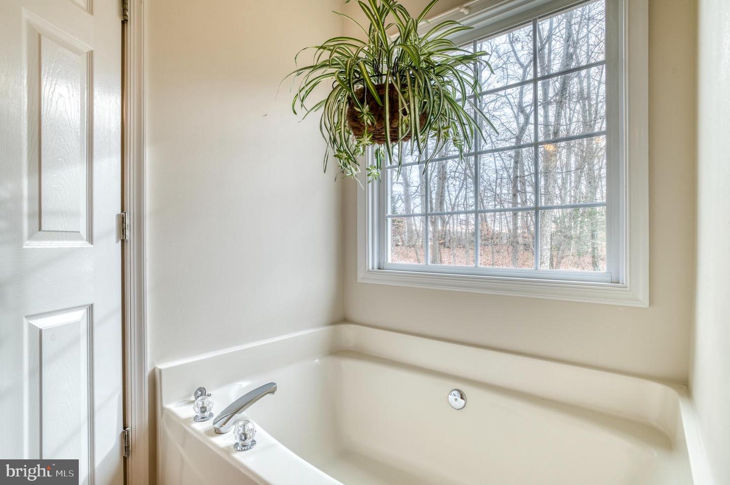 24552 ELEYS FORD RD, LIGNUM, Virginia 22726, 3 Bedrooms Bedrooms, ,2 BathroomsBathrooms,Residential,For sale,24552 ELEYS FORD RD,VACU2012196 MLS # VACU2012196 24552 ELEYS FORD RD, LIGNUM, Virginia 22726, 3 Bedrooms Bedrooms, ,2 BathroomsBathrooms,Residential,For sale,24552 ELEYS FORD RD,VACU2012196 MLS # VACU2012196