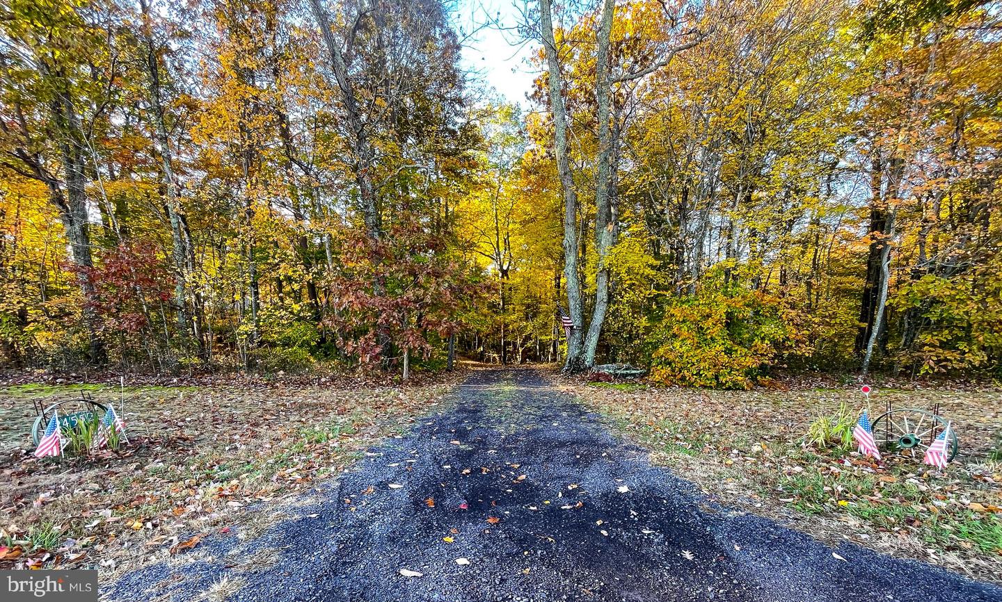 24552 ELEYS FORD RD, LIGNUM, Virginia 22726, 3 Bedrooms Bedrooms, ,2 BathroomsBathrooms,Residential,For sale,24552 ELEYS FORD RD,VACU2012196 MLS # VACU2012196 24552 ELEYS FORD RD, LIGNUM, Virginia 22726, 3 Bedrooms Bedrooms, ,2 BathroomsBathrooms,Residential,For sale,24552 ELEYS FORD RD,VACU2012196 MLS # VACU2012196