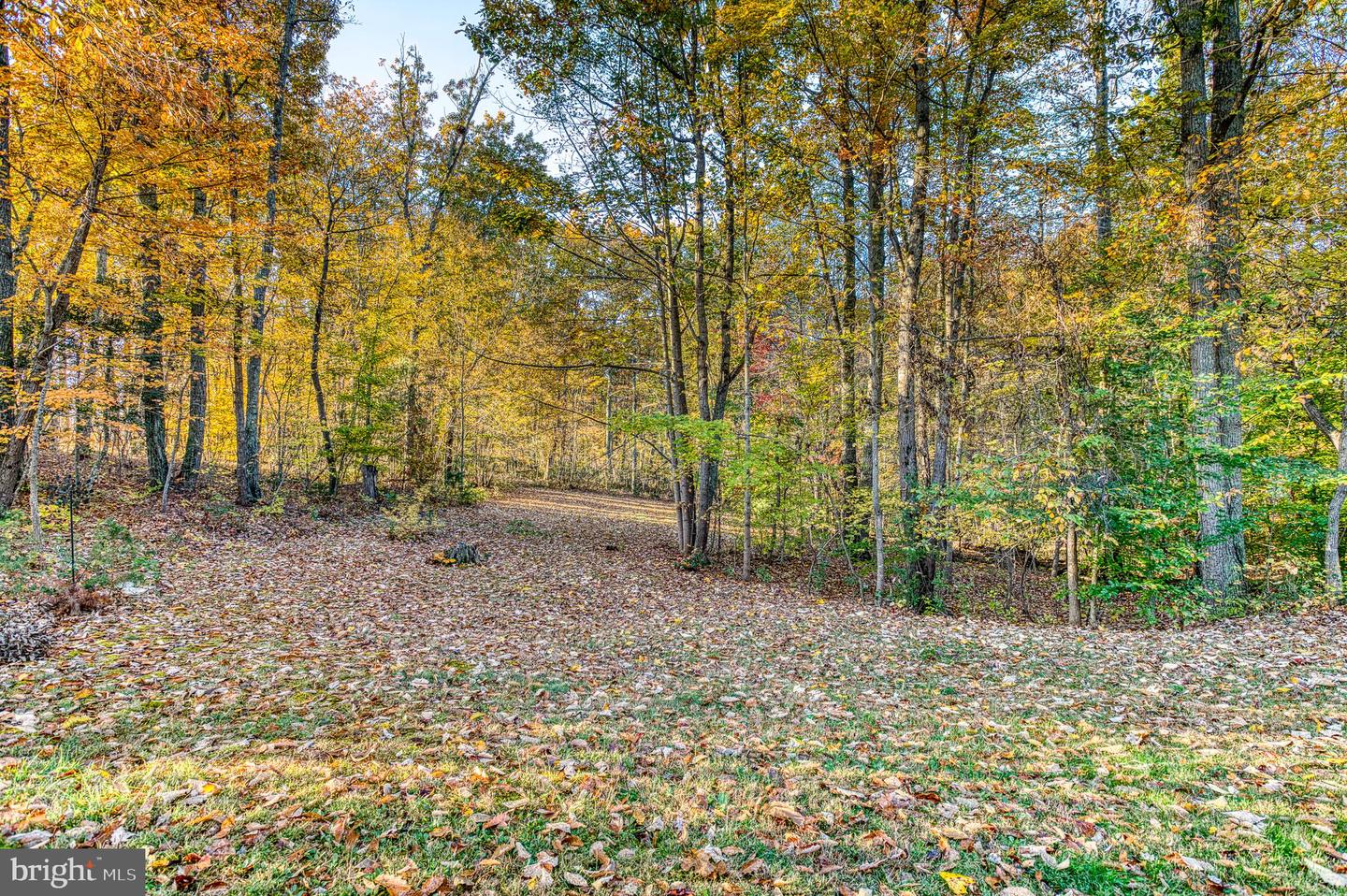 24552 ELEYS FORD RD, LIGNUM, Virginia 22726, 3 Bedrooms Bedrooms, ,2 BathroomsBathrooms,Residential,For sale,24552 ELEYS FORD RD,VACU2012196 MLS # VACU2012196 24552 ELEYS FORD RD, LIGNUM, Virginia 22726, 3 Bedrooms Bedrooms, ,2 BathroomsBathrooms,Residential,For sale,24552 ELEYS FORD RD,VACU2012196 MLS # VACU2012196