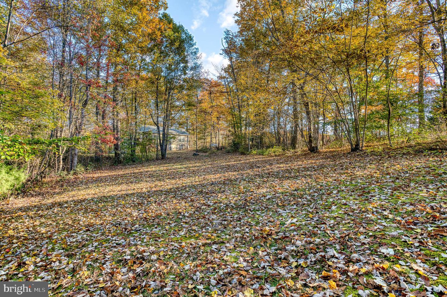 24552 ELEYS FORD RD, LIGNUM, Virginia 22726, 3 Bedrooms Bedrooms, ,2 BathroomsBathrooms,Residential,For sale,24552 ELEYS FORD RD,VACU2012196 MLS # VACU2012196 24552 ELEYS FORD RD, LIGNUM, Virginia 22726, 3 Bedrooms Bedrooms, ,2 BathroomsBathrooms,Residential,For sale,24552 ELEYS FORD RD,VACU2012196 MLS # VACU2012196