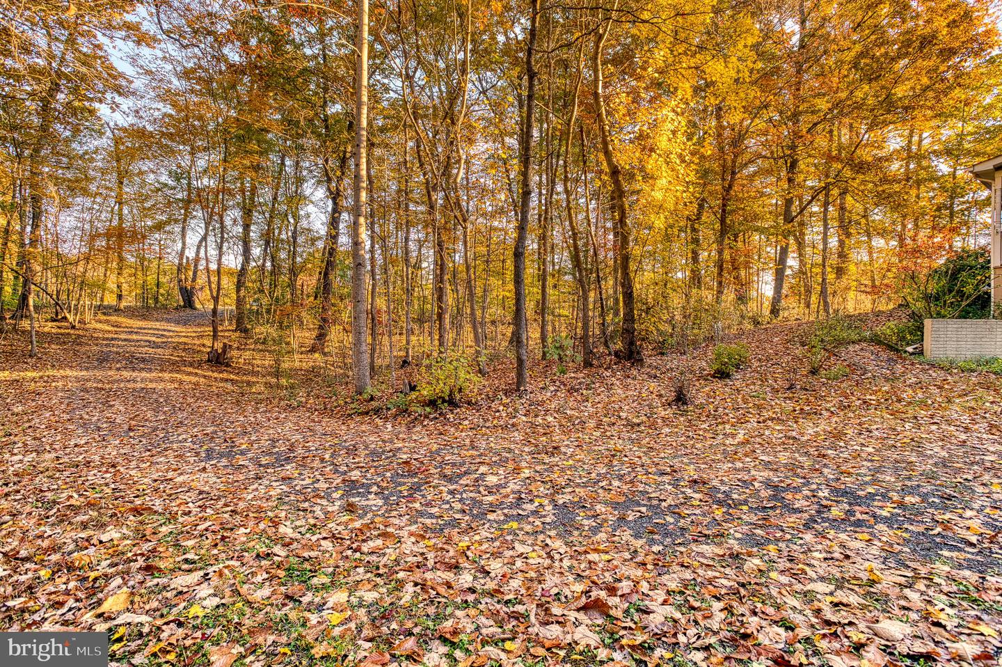 24552 ELEYS FORD RD, LIGNUM, Virginia 22726, 3 Bedrooms Bedrooms, ,2 BathroomsBathrooms,Residential,For sale,24552 ELEYS FORD RD,VACU2012196 MLS # VACU2012196 24552 ELEYS FORD RD, LIGNUM, Virginia 22726, 3 Bedrooms Bedrooms, ,2 BathroomsBathrooms,Residential,For sale,24552 ELEYS FORD RD,VACU2012196 MLS # VACU2012196