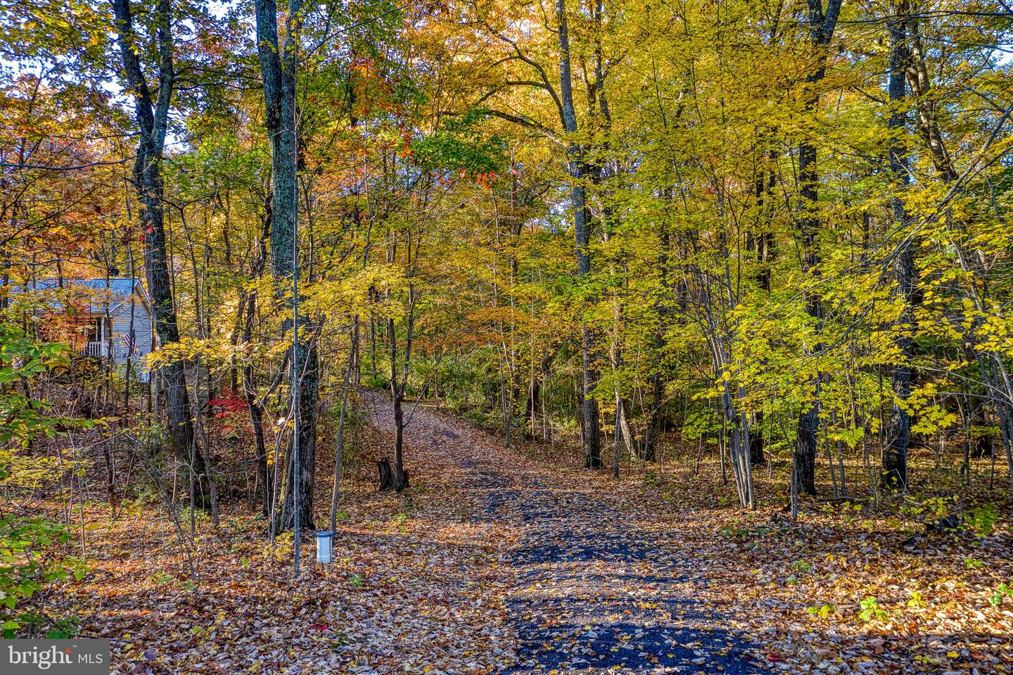 24552 ELEYS FORD RD, LIGNUM, Virginia 22726, 3 Bedrooms Bedrooms, ,2 BathroomsBathrooms,Residential,For sale,24552 ELEYS FORD RD,VACU2012196 MLS # VACU2012196 24552 ELEYS FORD RD, LIGNUM, Virginia 22726, 3 Bedrooms Bedrooms, ,2 BathroomsBathrooms,Residential,For sale,24552 ELEYS FORD RD,VACU2012196 MLS # VACU2012196