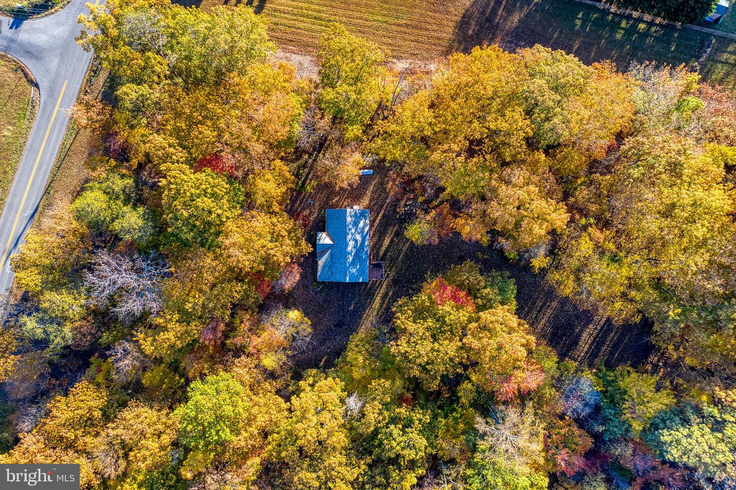 24552 ELEYS FORD RD, LIGNUM, Virginia 22726, 3 Bedrooms Bedrooms, ,2 BathroomsBathrooms,Residential,For sale,24552 ELEYS FORD RD,VACU2012196 MLS # VACU2012196 24552 ELEYS FORD RD, LIGNUM, Virginia 22726, 3 Bedrooms Bedrooms, ,2 BathroomsBathrooms,Residential,For sale,24552 ELEYS FORD RD,VACU2012196 MLS # VACU2012196