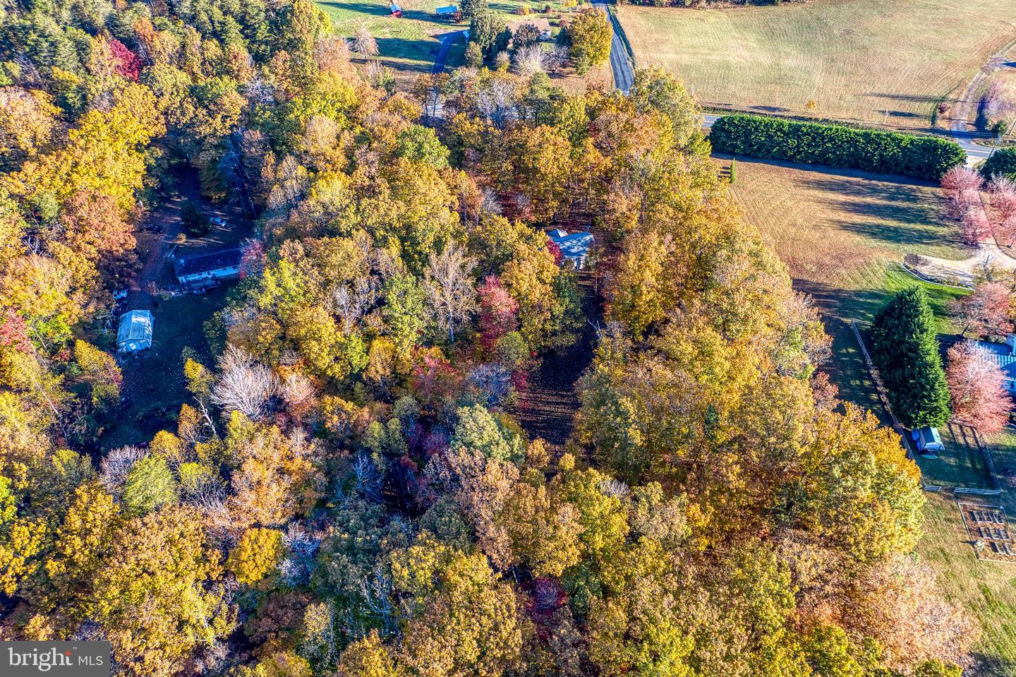 24552 ELEYS FORD RD, LIGNUM, Virginia 22726, 3 Bedrooms Bedrooms, ,2 BathroomsBathrooms,Residential,For sale,24552 ELEYS FORD RD,VACU2012196 MLS # VACU2012196 24552 ELEYS FORD RD, LIGNUM, Virginia 22726, 3 Bedrooms Bedrooms, ,2 BathroomsBathrooms,Residential,For sale,24552 ELEYS FORD RD,VACU2012196 MLS # VACU2012196