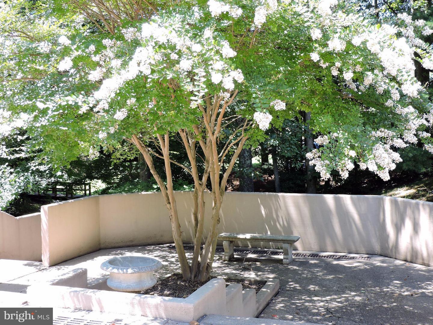 5833 COVE LANDING RD #304, BURKE, Virginia 22015, 2 Bedrooms Bedrooms, ,2 BathroomsBathrooms,Residential,For sale,5833 COVE LANDING RD #304,VAFX2282748 MLS # VAFX2282748 5833 COVE LANDING RD #304, BURKE, Virginia 22015, 2 Bedrooms Bedrooms, ,2 BathroomsBathrooms,Residential,For sale,5833 COVE LANDING RD #304,VAFX2282748 MLS # VAFX2282748