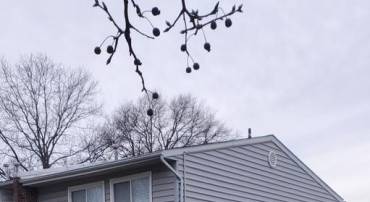 2201 GINGELL PL, HERNDON, Virginia 20170, 4 Bedrooms Bedrooms, ,1 BathroomBathrooms,Residential,For sale,2201 GINGELL PL,VAFX2282856 MLS # VAFX2282856