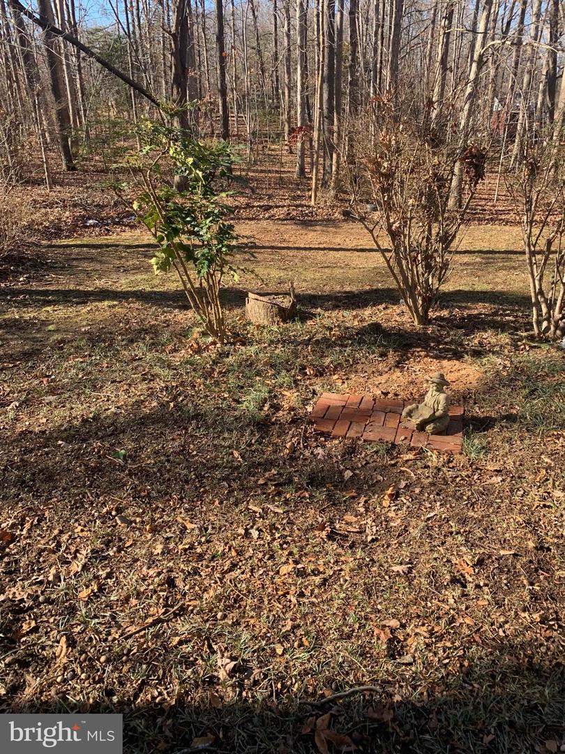 203 NOTTINGHAM RD, LOUISA, Virginia 23093, 3 Bedrooms Bedrooms, 14 Rooms Rooms,2 BathroomsBathrooms,Residential,For sale,203 NOTTINGHAM RD,VALA2009052 MLS # VALA2009052