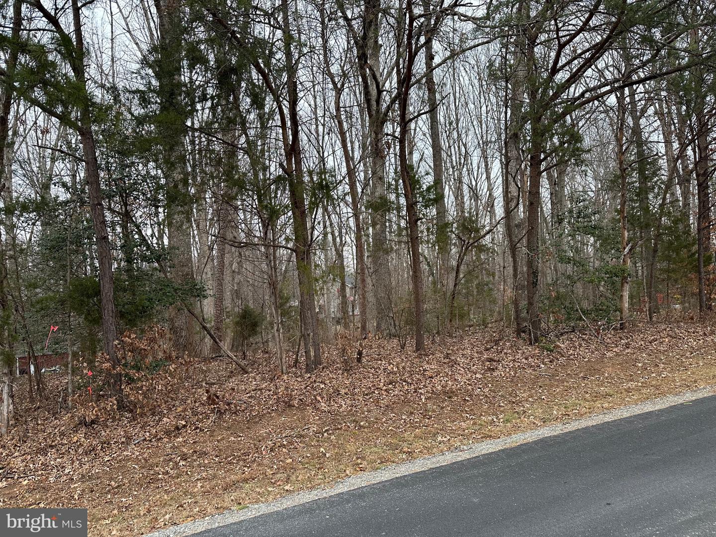 203 NOTTINGHAM RD, LOUISA, Virginia 23093, 3 Bedrooms Bedrooms, 14 Rooms Rooms,2 BathroomsBathrooms,Residential,For sale,203 NOTTINGHAM RD,VALA2009052 MLS # VALA2009052