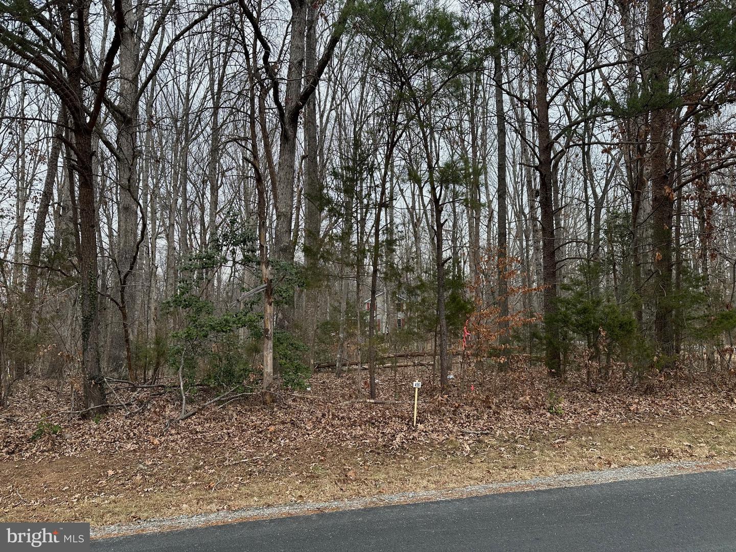 203 NOTTINGHAM RD, LOUISA, Virginia 23093, 3 Bedrooms Bedrooms, 14 Rooms Rooms,2 BathroomsBathrooms,Residential,For sale,203 NOTTINGHAM RD,VALA2009052 MLS # VALA2009052