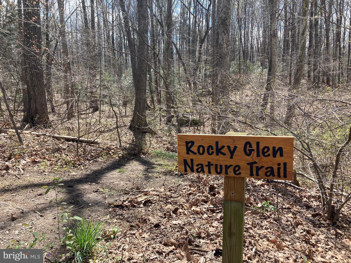 203 NOTTINGHAM RD, LOUISA, Virginia 23093, 3 Bedrooms Bedrooms, 14 Rooms Rooms,2 BathroomsBathrooms,Residential,For sale,203 NOTTINGHAM RD,VALA2009052 MLS # VALA2009052