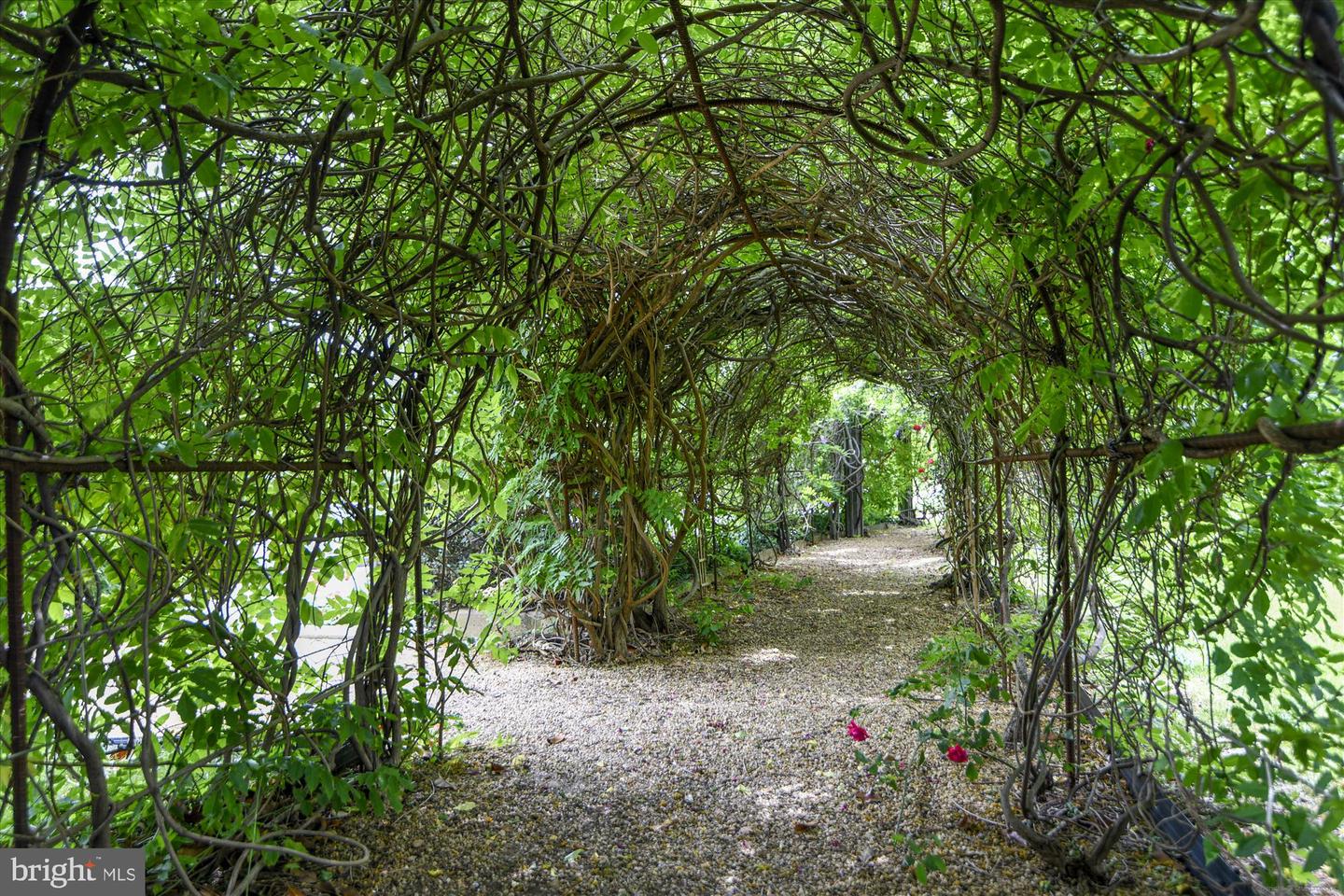 8360 GREENSBORO DR #305, MCLEAN, Virginia 22102, 2 Bedrooms Bedrooms, ,2 BathroomsBathrooms,Residential,For sale,8360 GREENSBORO DR #305,VAFX2282960 MLS # VAFX2282960