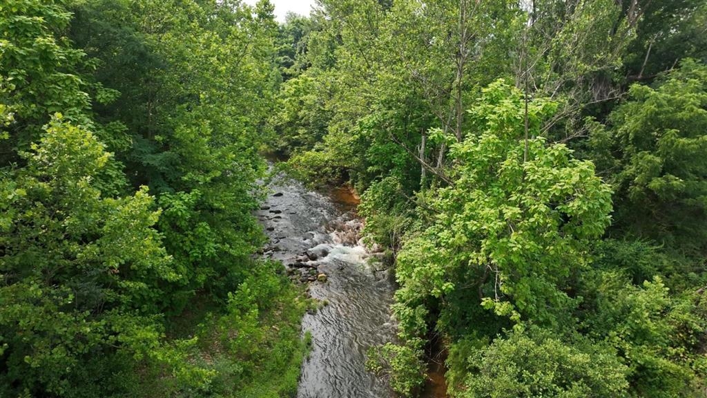 0 MT TORREY RD, LYNDHURST, Virginia 22952, ,Land,0 MT TORREY RD,671961 MLS # 671961