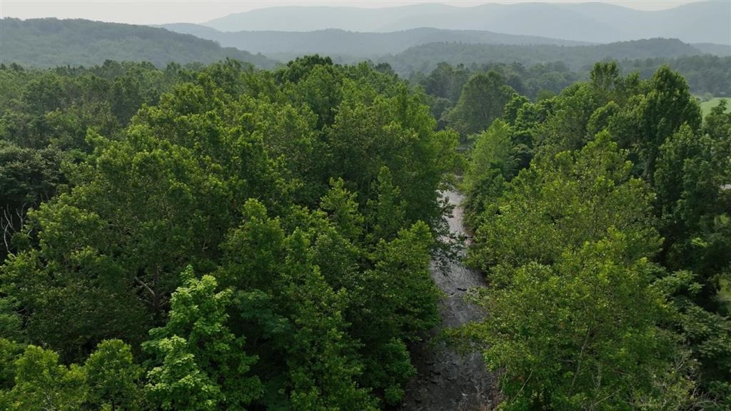 0 MT TORREY RD, LYNDHURST, Virginia 22952, ,Land,0 MT TORREY RD,671961 MLS # 671961