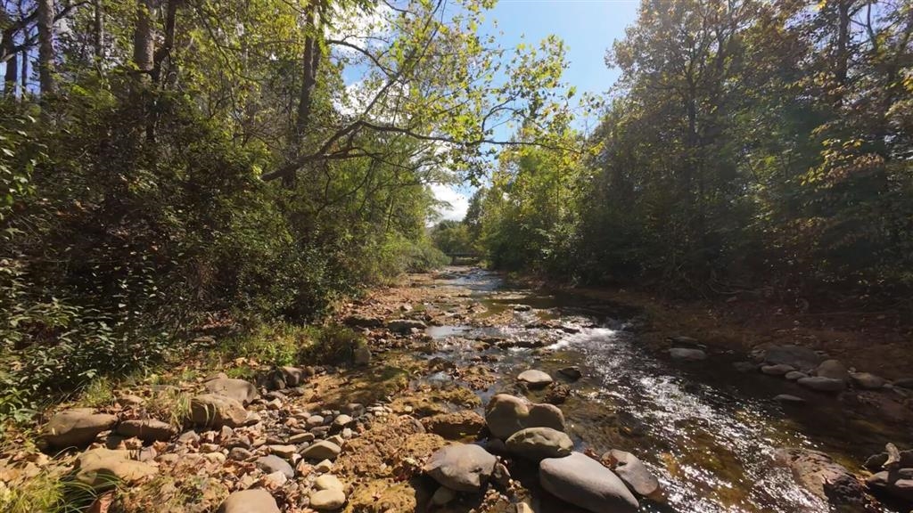 0 MT TORREY RD, LYNDHURST, Virginia 22952, ,Land,0 MT TORREY RD,671961 MLS # 671961