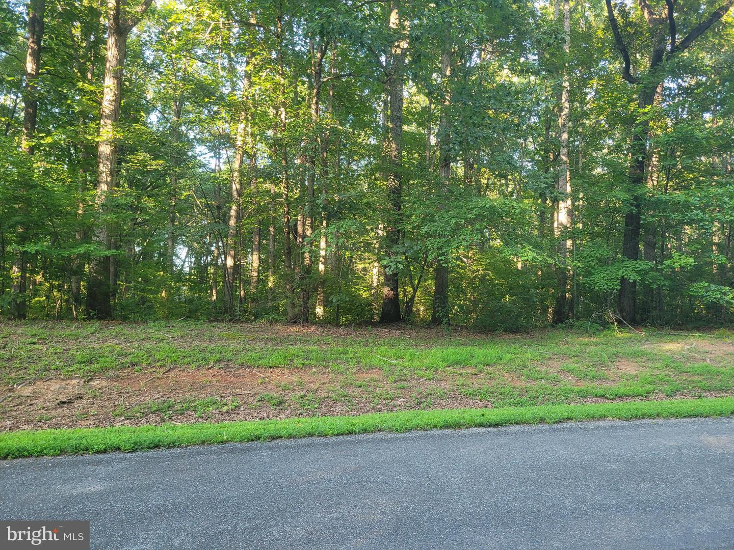 HARNESS, LOUISA, Virginia 23093, ,Land,For sale,HARNESS,VALA2008262 MLS # VALA2008262