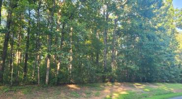 HARNESS, LOUISA, Virginia 23093, ,Land,For sale,HARNESS,VALA2008262 MLS # VALA2008262