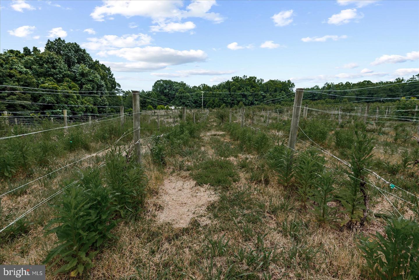 8215 OAK CREST DR, KING GEORGE, Virginia 22485, 1 Bedroom Bedrooms, ,1 BathroomBathrooms,Residential,For sale,8215 OAK CREST DR,VAKG2006772 MLS # VAKG2006772