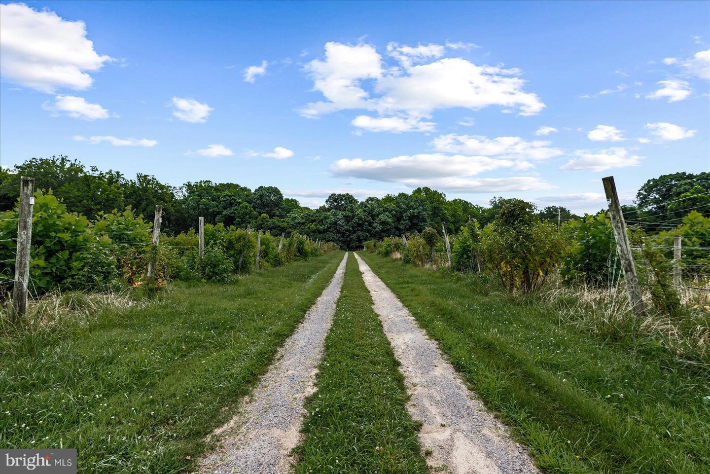 8215 OAK CREST DR, KING GEORGE, Virginia 22485, 1 Bedroom Bedrooms, ,1 BathroomBathrooms,Residential,For sale,8215 OAK CREST DR,VAKG2006772 MLS # VAKG2006772