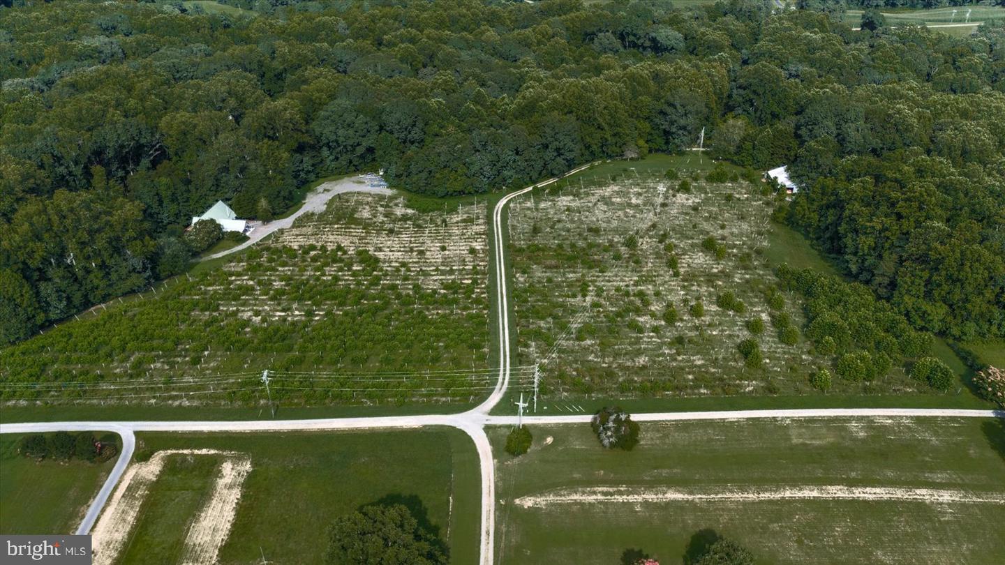 8215 OAK CREST DR, KING GEORGE, Virginia 22485, 1 Bedroom Bedrooms, ,1 BathroomBathrooms,Residential,For sale,8215 OAK CREST DR,VAKG2006772 MLS # VAKG2006772