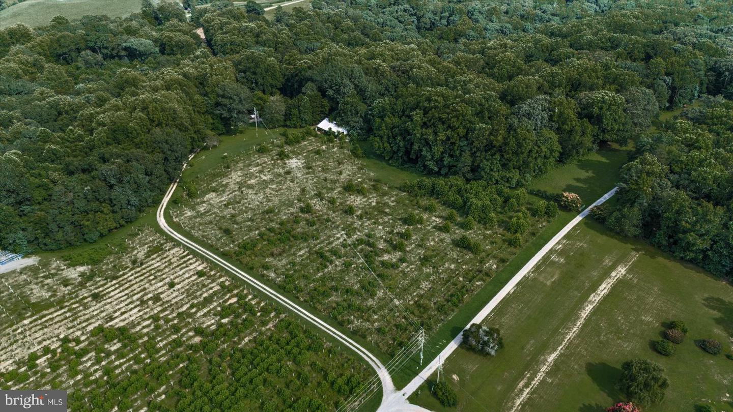 8215 OAK CREST DR, KING GEORGE, Virginia 22485, 1 Bedroom Bedrooms, ,1 BathroomBathrooms,Residential,For sale,8215 OAK CREST DR,VAKG2006772 MLS # VAKG2006772