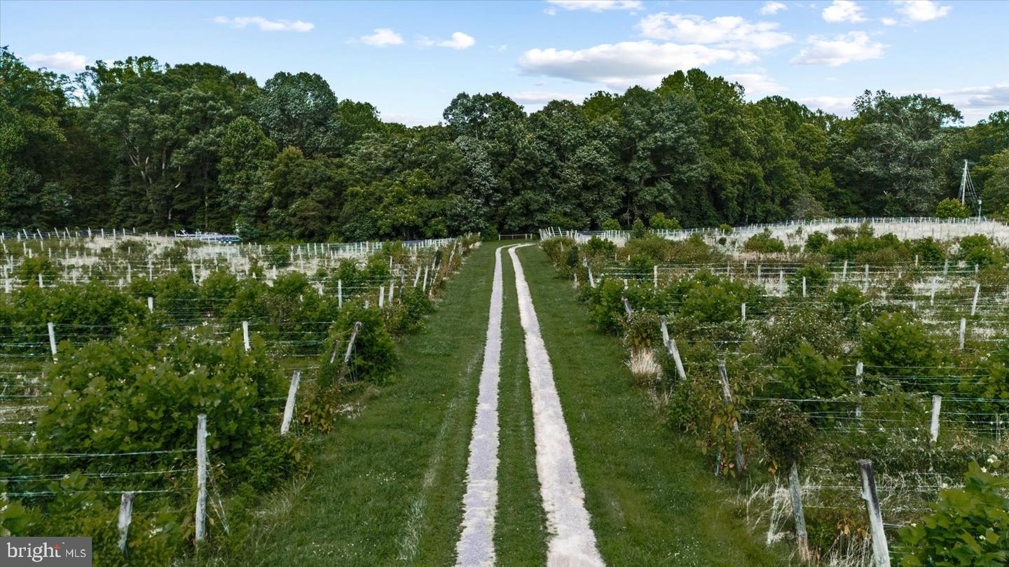 8215 OAK CREST DR, KING GEORGE, Virginia 22485, 1 Bedroom Bedrooms, ,1 BathroomBathrooms,Residential,For sale,8215 OAK CREST DR,VAKG2006772 MLS # VAKG2006772