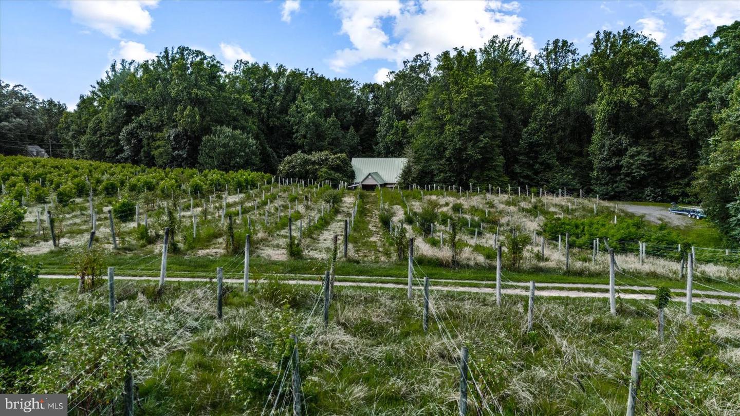 8215 OAK CREST DR, KING GEORGE, Virginia 22485, 1 Bedroom Bedrooms, ,1 BathroomBathrooms,Residential,For sale,8215 OAK CREST DR,VAKG2006772 MLS # VAKG2006772