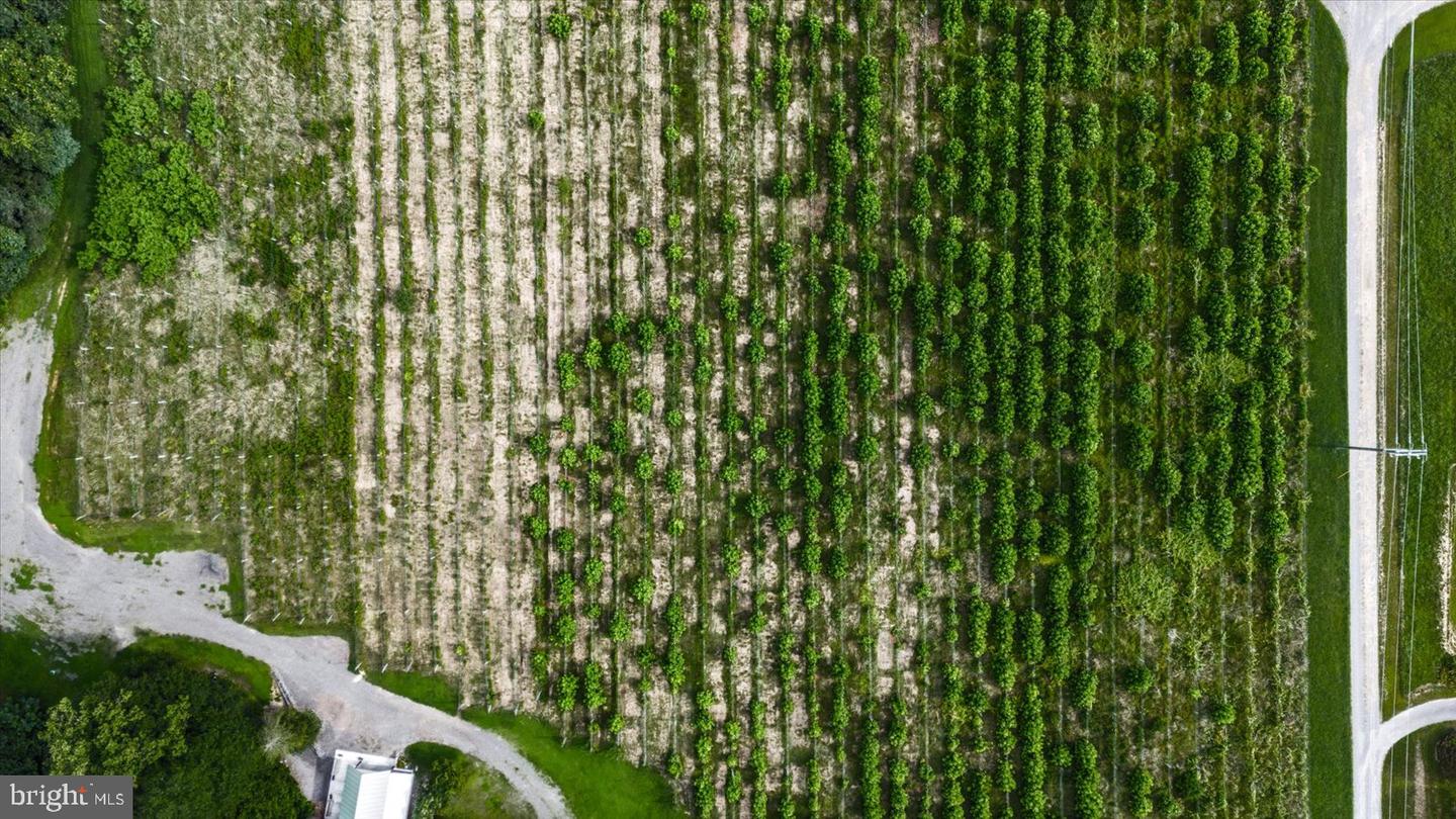 8215 OAK CREST DR, KING GEORGE, Virginia 22485, 1 Bedroom Bedrooms, ,1 BathroomBathrooms,Residential,For sale,8215 OAK CREST DR,VAKG2006772 MLS # VAKG2006772