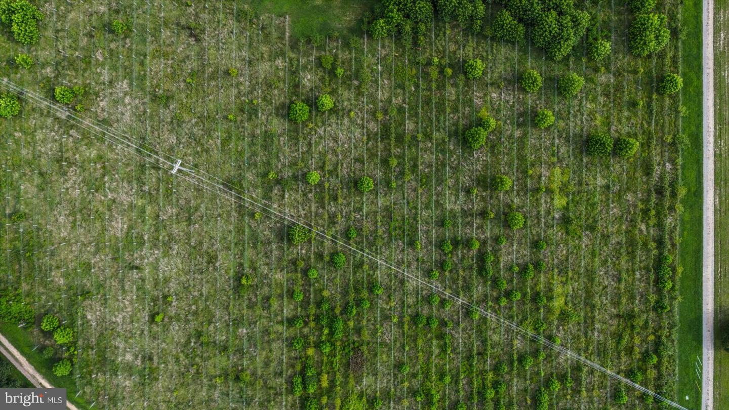 8215 OAK CREST DR, KING GEORGE, Virginia 22485, 1 Bedroom Bedrooms, ,1 BathroomBathrooms,Residential,For sale,8215 OAK CREST DR,VAKG2006772 MLS # VAKG2006772