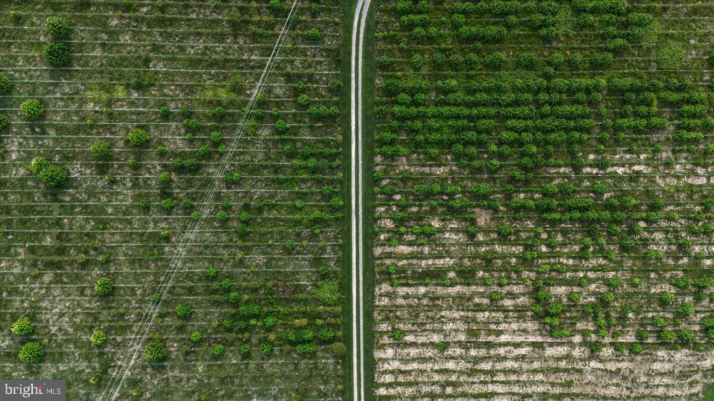 8215 OAK CREST DR, KING GEORGE, Virginia 22485, 1 Bedroom Bedrooms, ,1 BathroomBathrooms,Residential,For sale,8215 OAK CREST DR,VAKG2006772 MLS # VAKG2006772