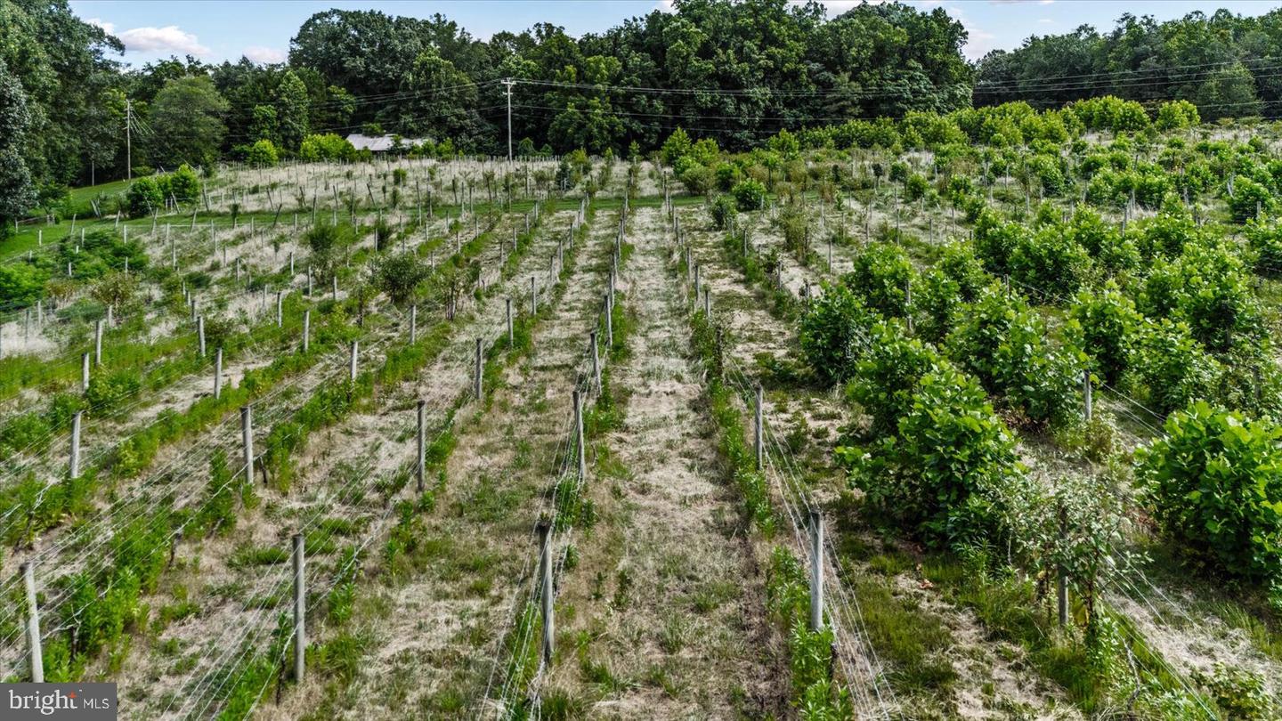 8215 OAK CREST DR, KING GEORGE, Virginia 22485, 1 Bedroom Bedrooms, ,1 BathroomBathrooms,Residential,For sale,8215 OAK CREST DR,VAKG2006772 MLS # VAKG2006772