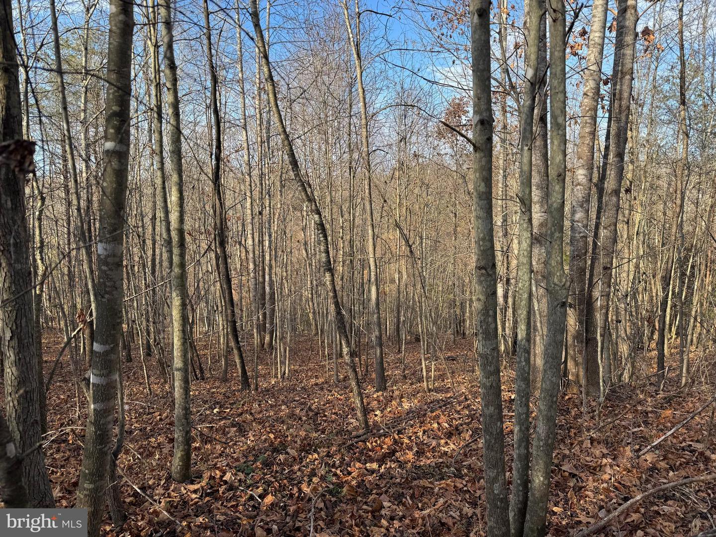 0 PEACE AND QUIET CIR, REVA, Virginia 22735, ,Land,For sale,0 PEACE AND QUIET CIR,VACU2012258 MLS # VACU2012258 0 PEACE AND QUIET CIR, REVA, Virginia 22735, ,Land,For sale,0 PEACE AND QUIET CIR,VACU2012258 MLS # VACU2012258