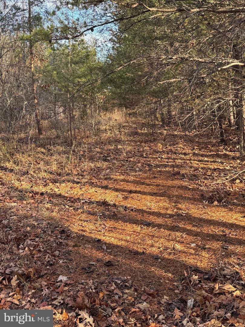 0 PEACE AND QUIET CIR, REVA, Virginia 22735, ,Land,For sale,0 PEACE AND QUIET CIR,VACU2012258 MLS # VACU2012258 0 PEACE AND QUIET CIR, REVA, Virginia 22735, ,Land,For sale,0 PEACE AND QUIET CIR,VACU2012258 MLS # VACU2012258