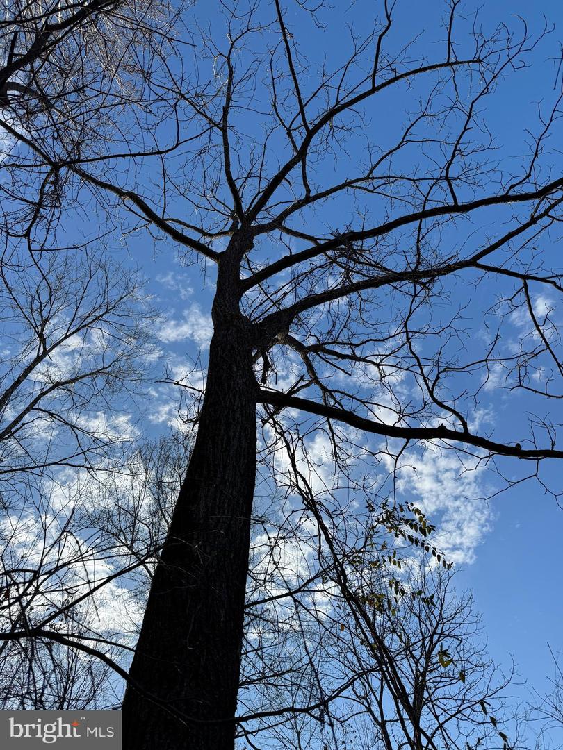 0 PEACE AND QUIET CIR, REVA, Virginia 22735, ,Land,For sale,0 PEACE AND QUIET CIR,VACU2012258 MLS # VACU2012258 0 PEACE AND QUIET CIR, REVA, Virginia 22735, ,Land,For sale,0 PEACE AND QUIET CIR,VACU2012258 MLS # VACU2012258